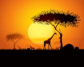 stock photo of animals  - Tranquil sunset scene in africa - JPG 