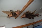 pic of leak  - Water leak in roof caused massive drywall damage in a garage - JPG 