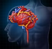 foto of health  - Heart brain shaped human organ as intelligence and research with a cardiovascular pumping blood as a medical and mental health care symbol for active neurons in the body on a black background - JPG 