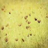 picture of wall street  - Soft wildflower print on antique paper background - JPG 