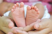 stock photo of security  - Baby legs - JPG 