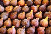 pic of france  - Lots of Figs on Farmer - JPG 