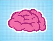 foto of cerebellum  - BRAIN SYMBOL - JPG 