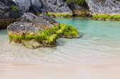 picture of bermuda  - Moss covered rocks in a sandy tidal pool on the south shore of Bermuda - JPG 