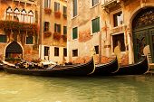 stock photo of sculling  - Traditional Venice gondola ride - JPG 