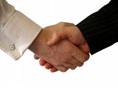 stock photo of handshake  - photo of a handshake on white background - JPG 