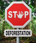 foto of nature  - stop deforestation - JPG 