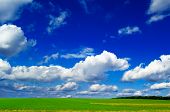 picture of blue sky  - The green field on background blue sky - JPG 