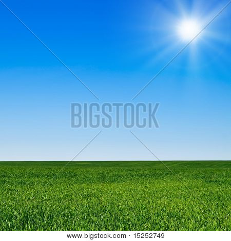 Picture or Photo of Beautiful landscape, green grass, blue sky