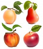 foto of  photo  - Photo - JPG 