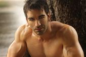 picture of outdoor  - Sexy masculine man shirtless outdoors against tree - JPG 