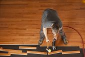 picture of floors  - Top view of a man installing planks of hardwood floor - JPG 