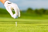 foto of golf  - Hand hold golf ball with tee on course - JPG 