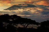 stock photo of sunset  - Mount Kilimanjaro and clouds line at sunset - JPG 