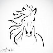 foto of horse  - Vector image of an horse on white background - JPG 