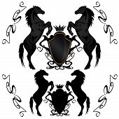 picture of horse  - heraldic shields with black stallions  - JPG 