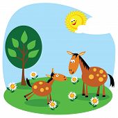 pic of horse  - Cute cartoon horse and foal in a summer meadow - JPG 