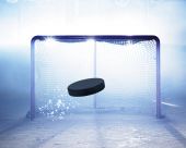 pic of goal  - ice hockey goal with puck flying towards goal - JPG 