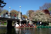 stock photo of blue sky  - view of boston public garden in spring - JPG 