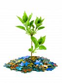 picture of puzzle  - Puzzle and plant isolated on white background - JPG 