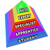 foto of final  - A pyramid illustrating the steps of learning a skilled trade - JPG 