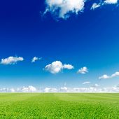 picture of blue sky  - green grass and blue sky - JPG 
