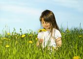 stock photo of blue sky  - Little girl sitting on meadow with dandelions around her - JPG 