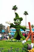 pic of world  - DISNEY WORLD FLORIDA  - JPG 