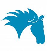 pic of horse  - Horse Head Blue silhouette on a white background - JPG 