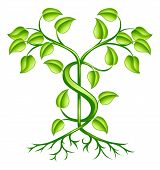 image of growth  - A tree or plant with strong roots growing in the shape of a dollar sign - JPG 