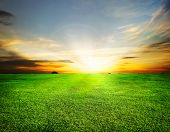 picture of sunset  - Green Field and Beautiful Sunset - JPG 