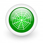 image of web  - spider web green circle glossy web icon on white background - JPG 