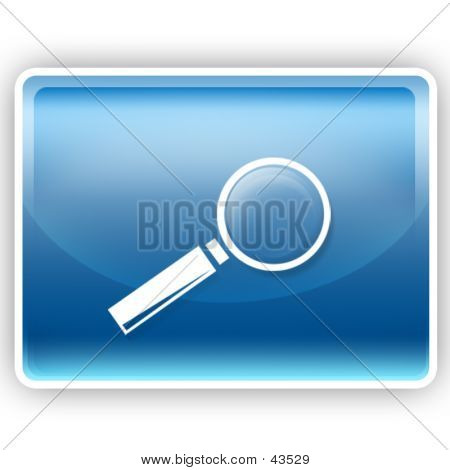 Picture or Photo of Button - search aqua stile