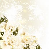 pic of places  - Cute wedding background with roses lace and place for text - JPG 