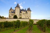image of france  - Saumur castle and vineyards  in the Loire Valley - JPG 