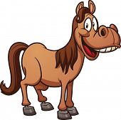 picture of horse  - Cute cartoon horse - JPG 