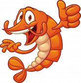 image of cartoon  - Cartoon shrimp holding it - JPG 