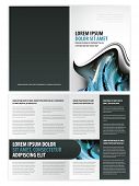 picture of insert  - vector business brochure - JPG 