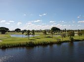 stock photo of golf  - A scenic golf course in Miami Florida - JPG 