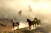 foto of horse  - Sunlight Horses and cowboy galloping and through the desert - JPG 