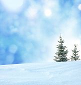 stock photo of calm  - winter background - JPG 
