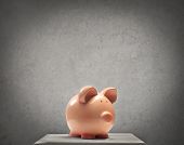 pic of finance  - Piggy - JPG 
