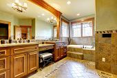 picture of home  - Luxury large master bathroom in mountain home with double sink and green walls - JPG 