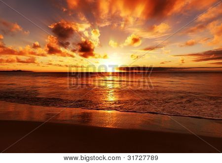 Picture or Photo of Beautiful tropical sunset on the beach