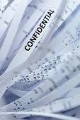 pic of confidential  - Shredded paper series  - JPG 