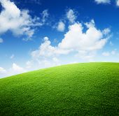 stock photo of blue sky  - field of green grass and blue sky - JPG 