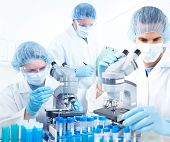 image of science  - Science team working with microscopes at  laboratory - JPG 
