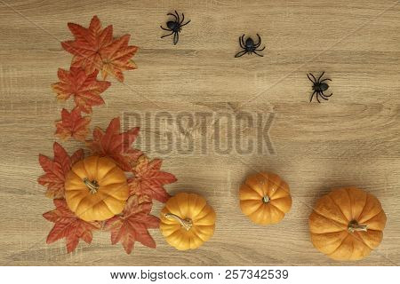 Poster: Pumpkin Autumn Thanksgiving Background