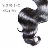 picture of hair  - Black Hair over white - JPG 