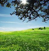 foto of nature  - Natural background - JPG 